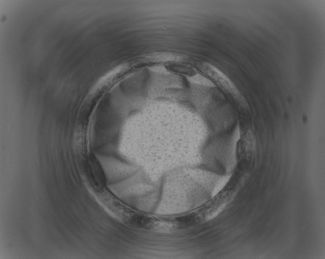 X0000087400352200705181338