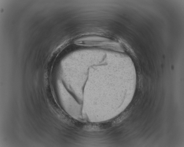 X0000087400354200705181338