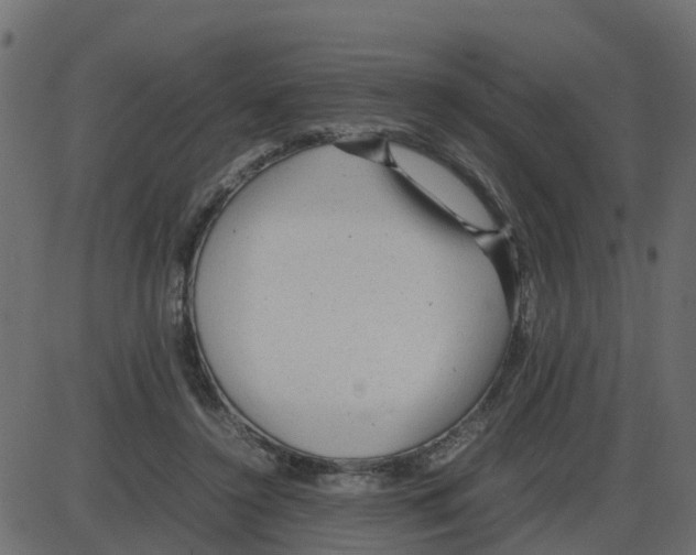 X0000087400356200705181338