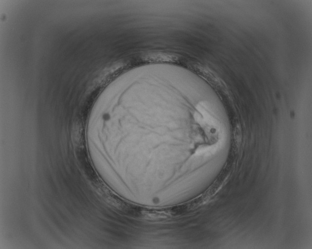 X0000087400359200705181338