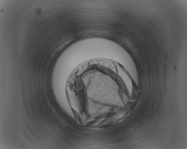 X0000087400360200705181338