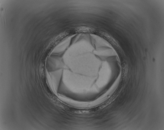 X0000087400361200705181338