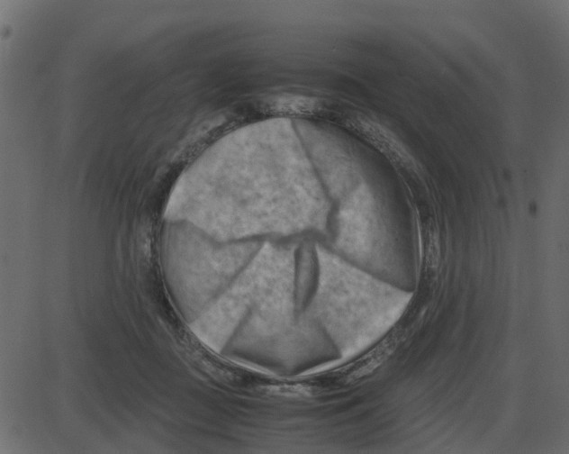 X0000087400363200705181338