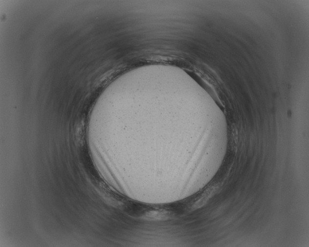 X0000087400364200705181338