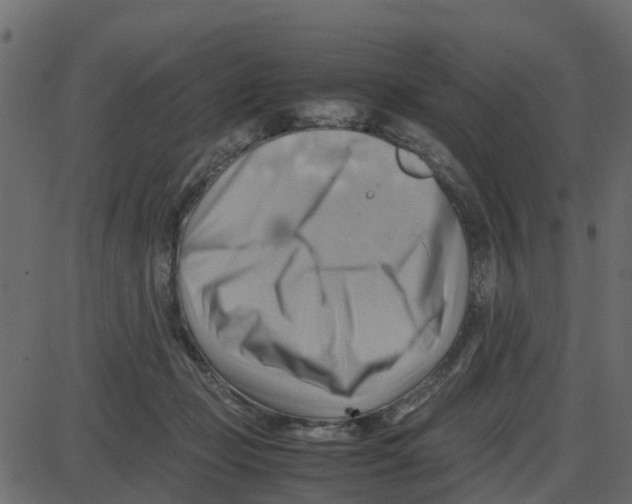 X0000087400365200705181338