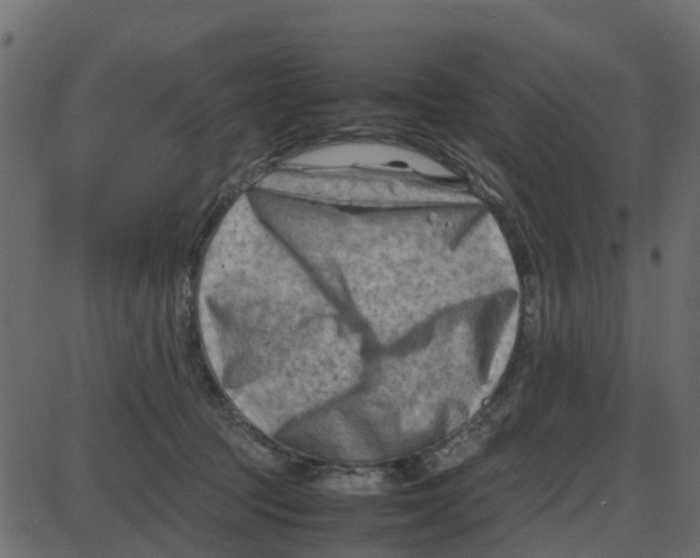 X0000087400369200705181338