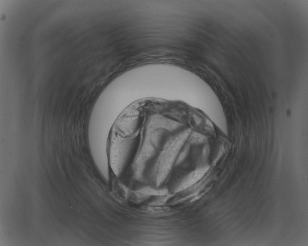 X0000087400372200705181338