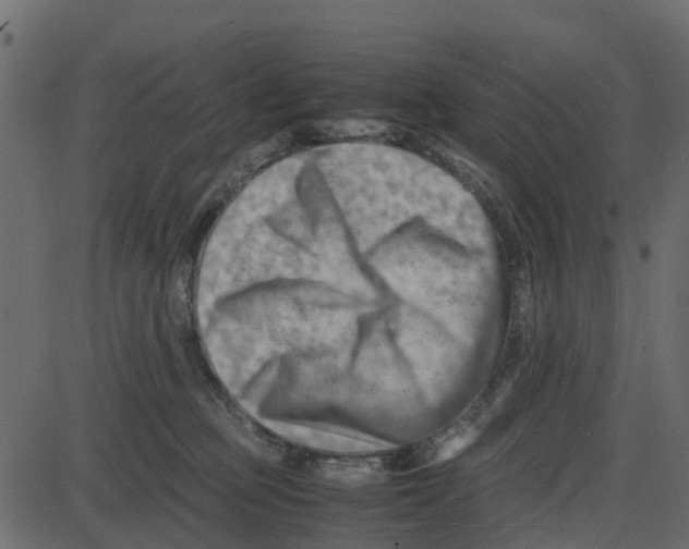 X0000087400373200705181338