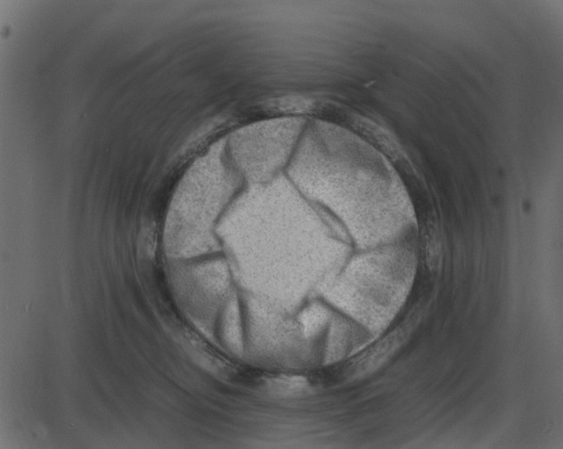 X0000087400374200705181338