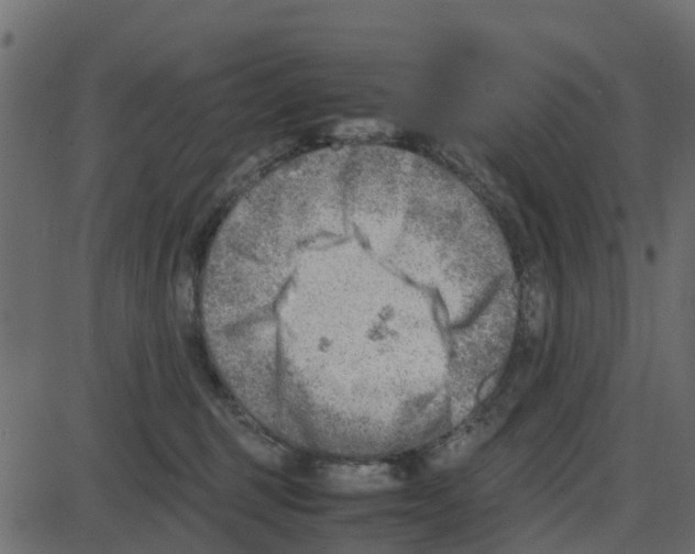 X0000087400375200705181338