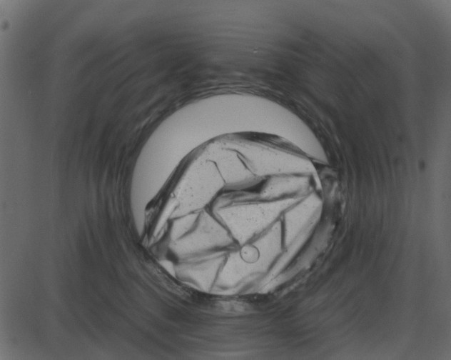 X0000087400376200705181338