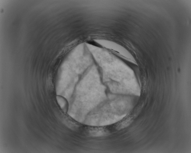 X0000087400377200705181338