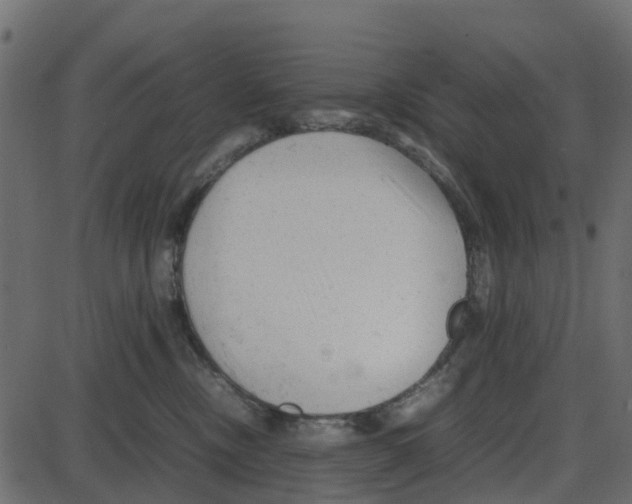 X0000087400378200705181338