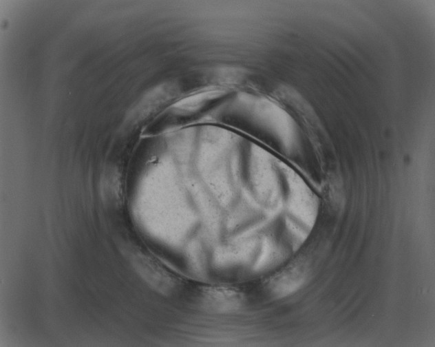 X0000087400380200705181338