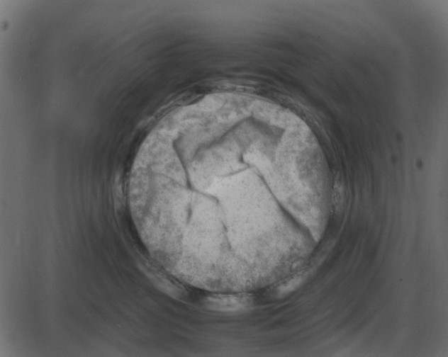 X0000087400381200705181338