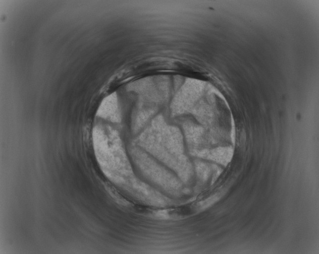 X0000087400382200705181338