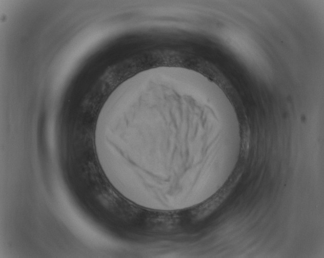 X0000087400383200705181338