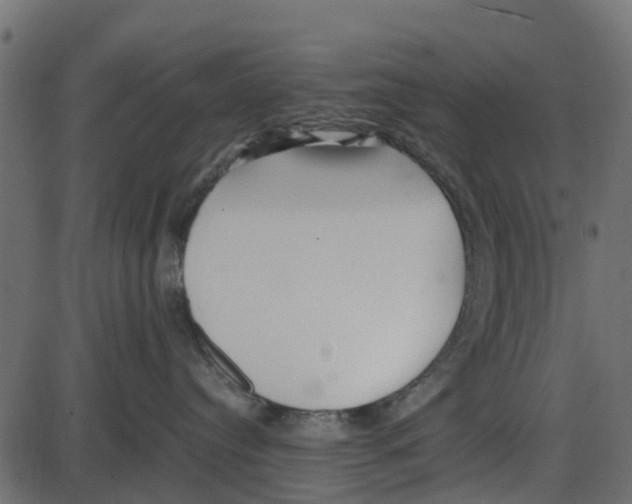 X0000087400384200705181338