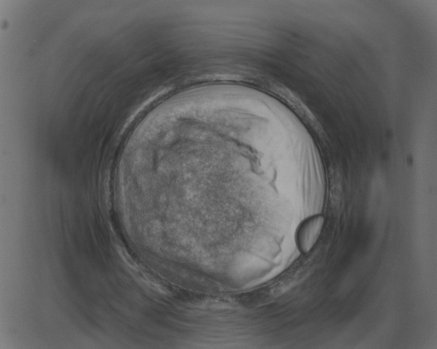 X0000087400386200705181338