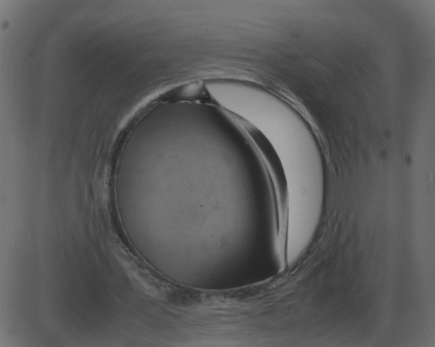 X0000087400387200705181338