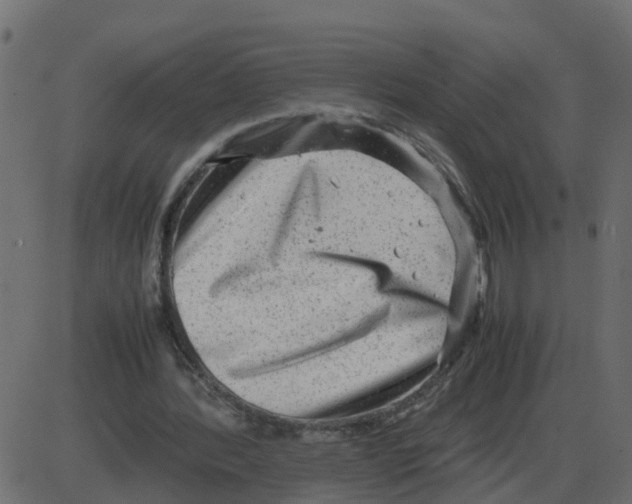 X0000087400388200705181338