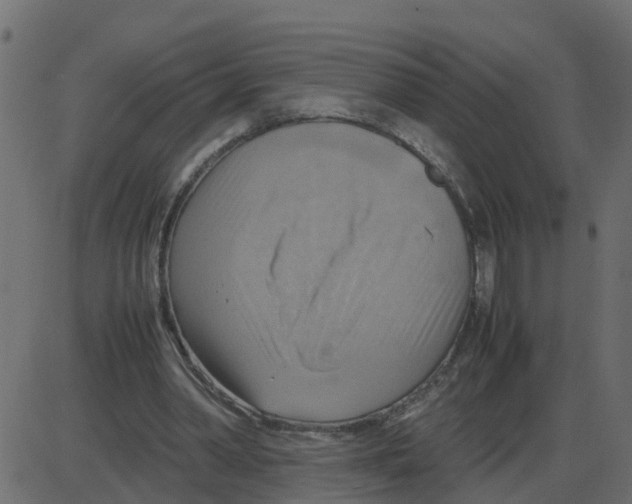 X0000087400390200705181338