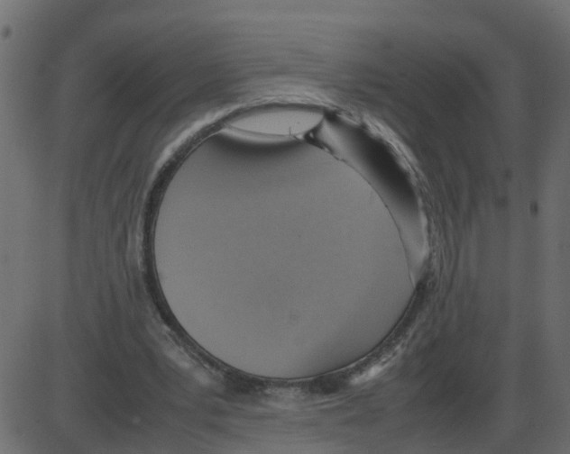 X0000087400391200705181338