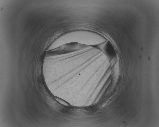 X0000087400393200705181338