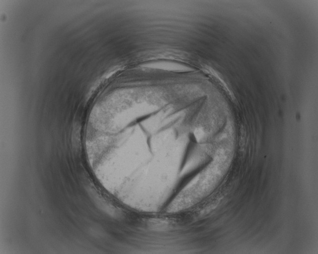 X0000087400394200705181338