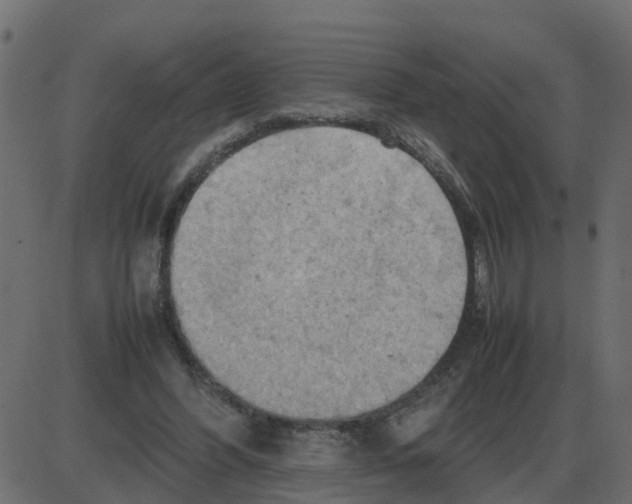 X0000087400396200705181337