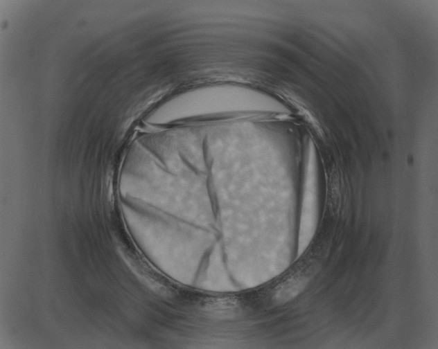 X0000087400398200705181337