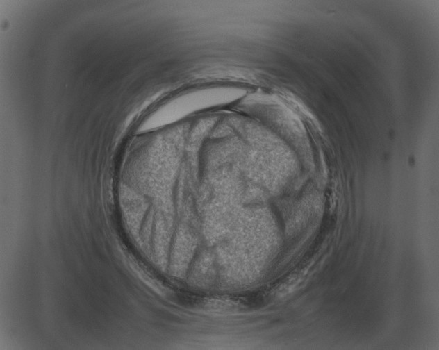 X0000087400399200705181337