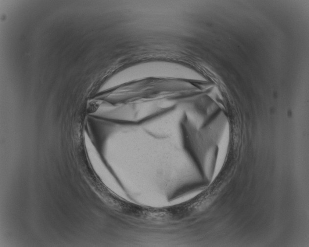 X0000087400401200705181337