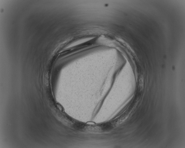 X0000087400403200705181337