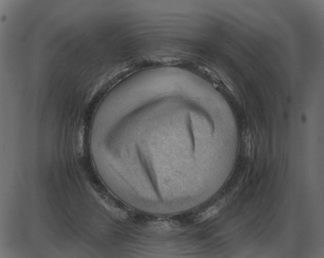 X0000087400404200705181337