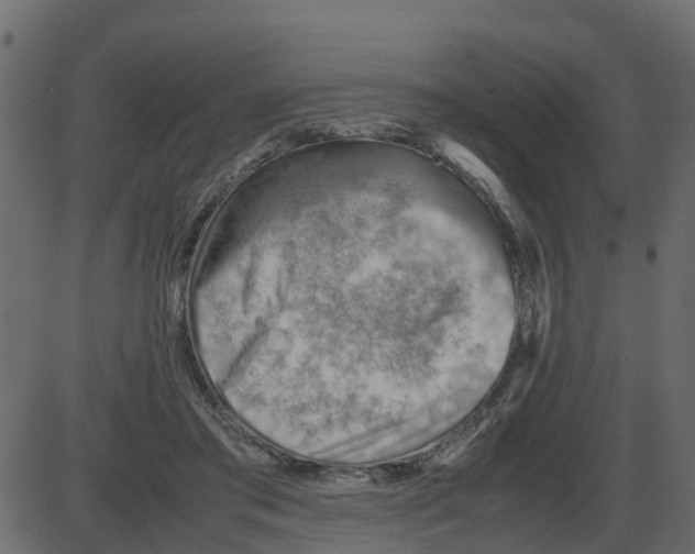 X0000087400405200705181337