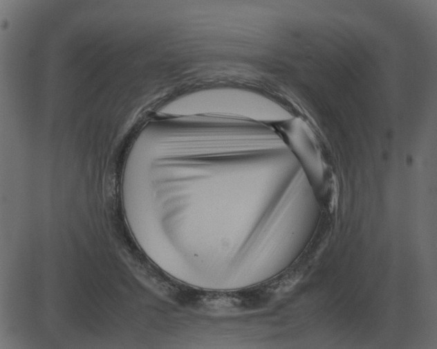 X0000087400407200705181337