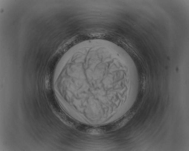 X0000087400408200705181337