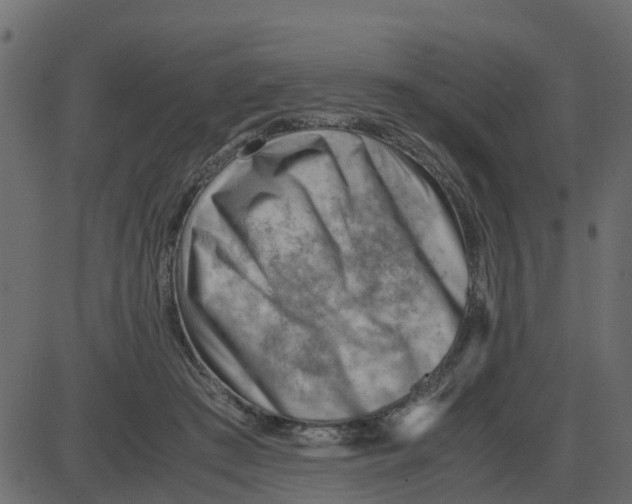 X0000087400409200705181337