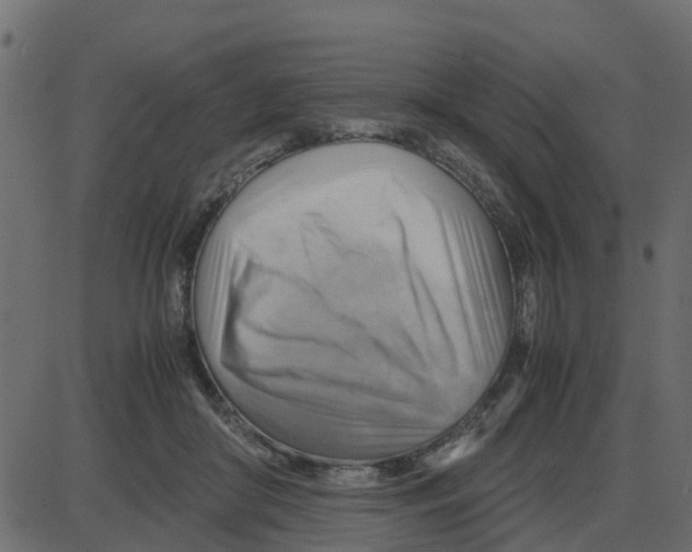 X0000087400410200705181337