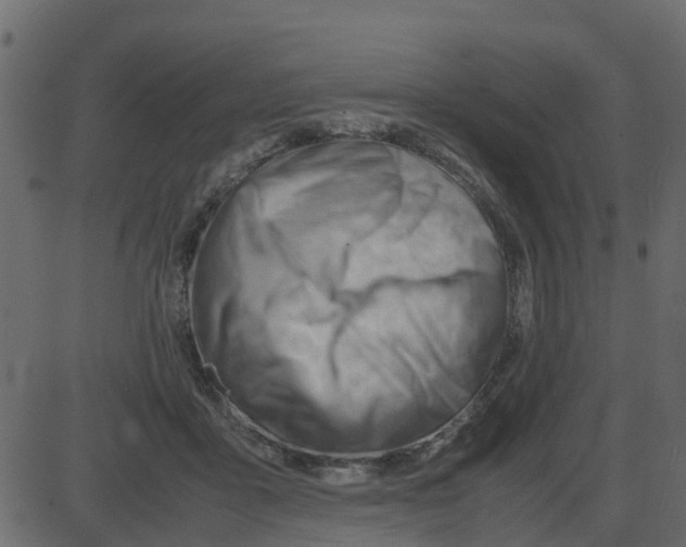 X0000087400411200705181337