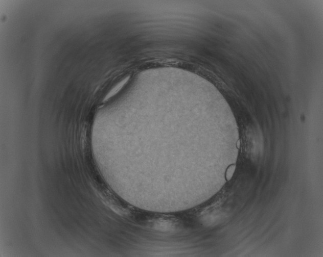 X0000087400412200705181337