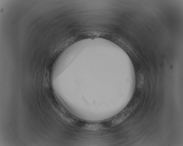 X0000087400414200705181337