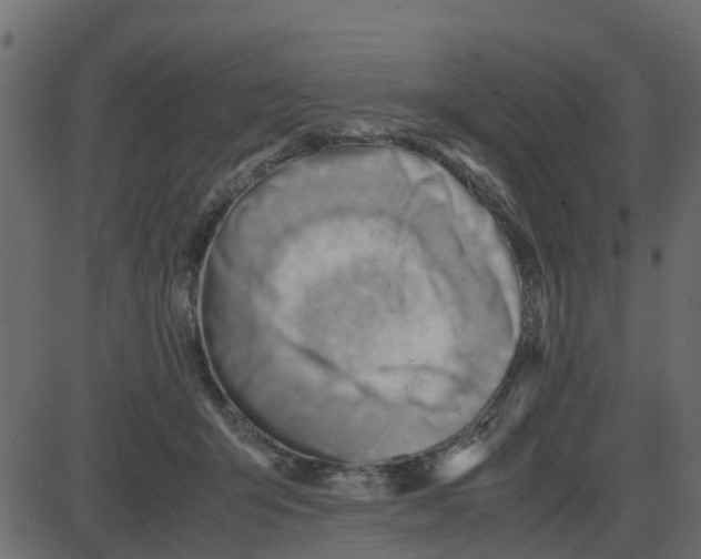 X0000087400415200705181337