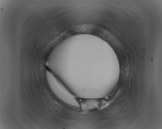 X0000087400416200705181337