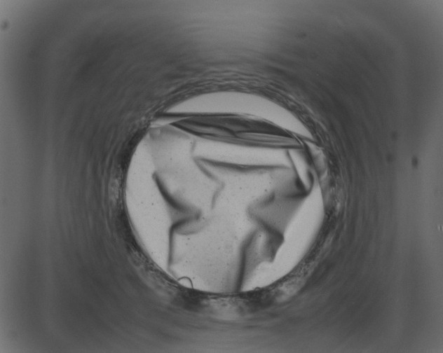 X0000087400417200705181337