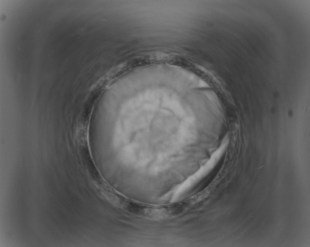 X0000087400419200705181337