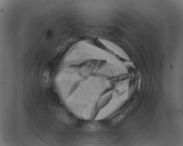 X0000087400420200705181337