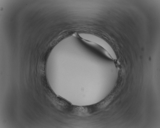 X0000087400421200705181337