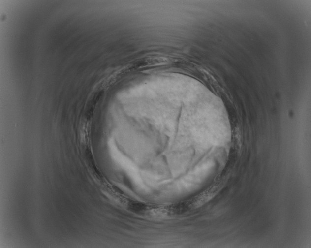 X0000087400423200705181337